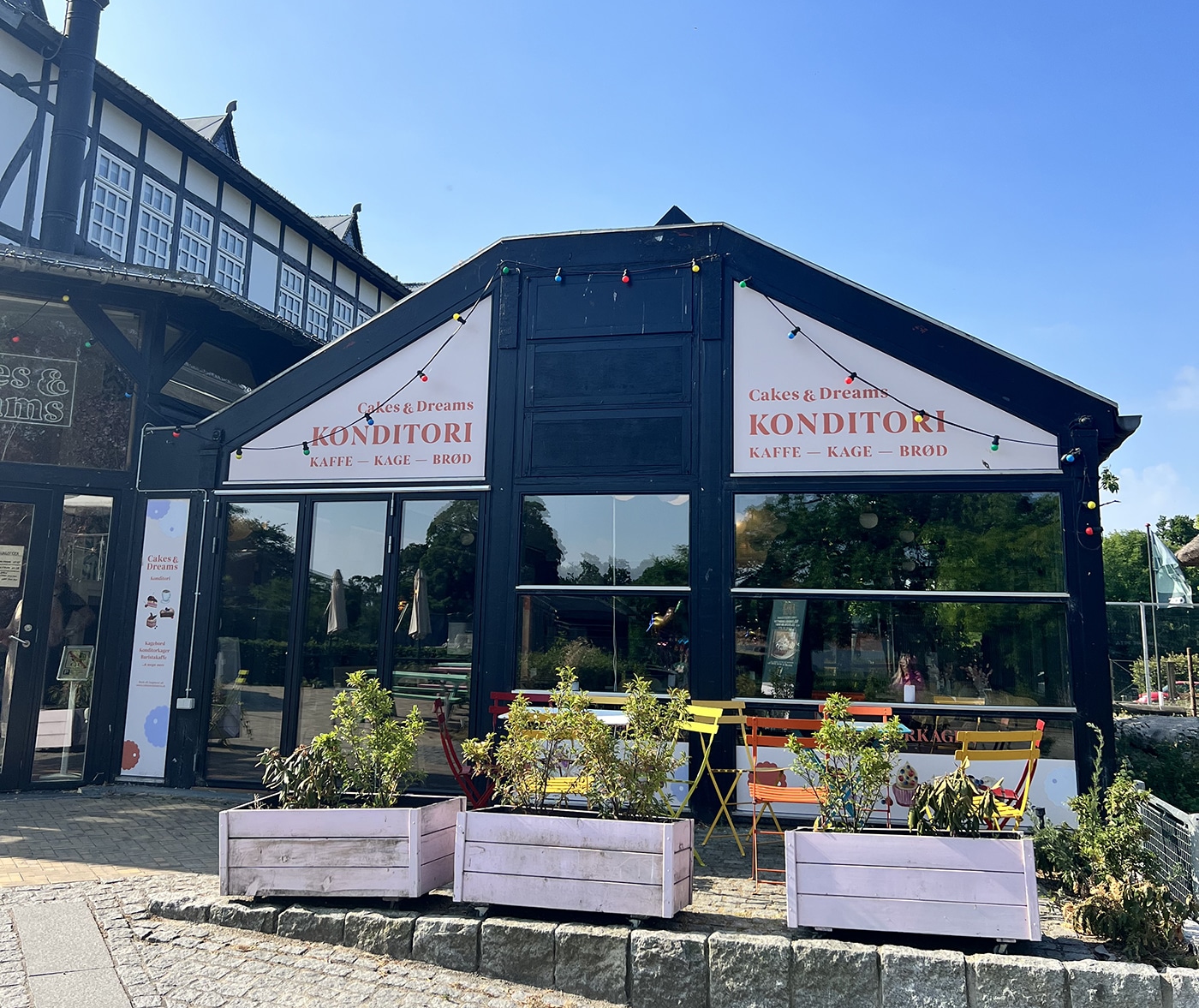 Zoo cakes NT IMG_5314